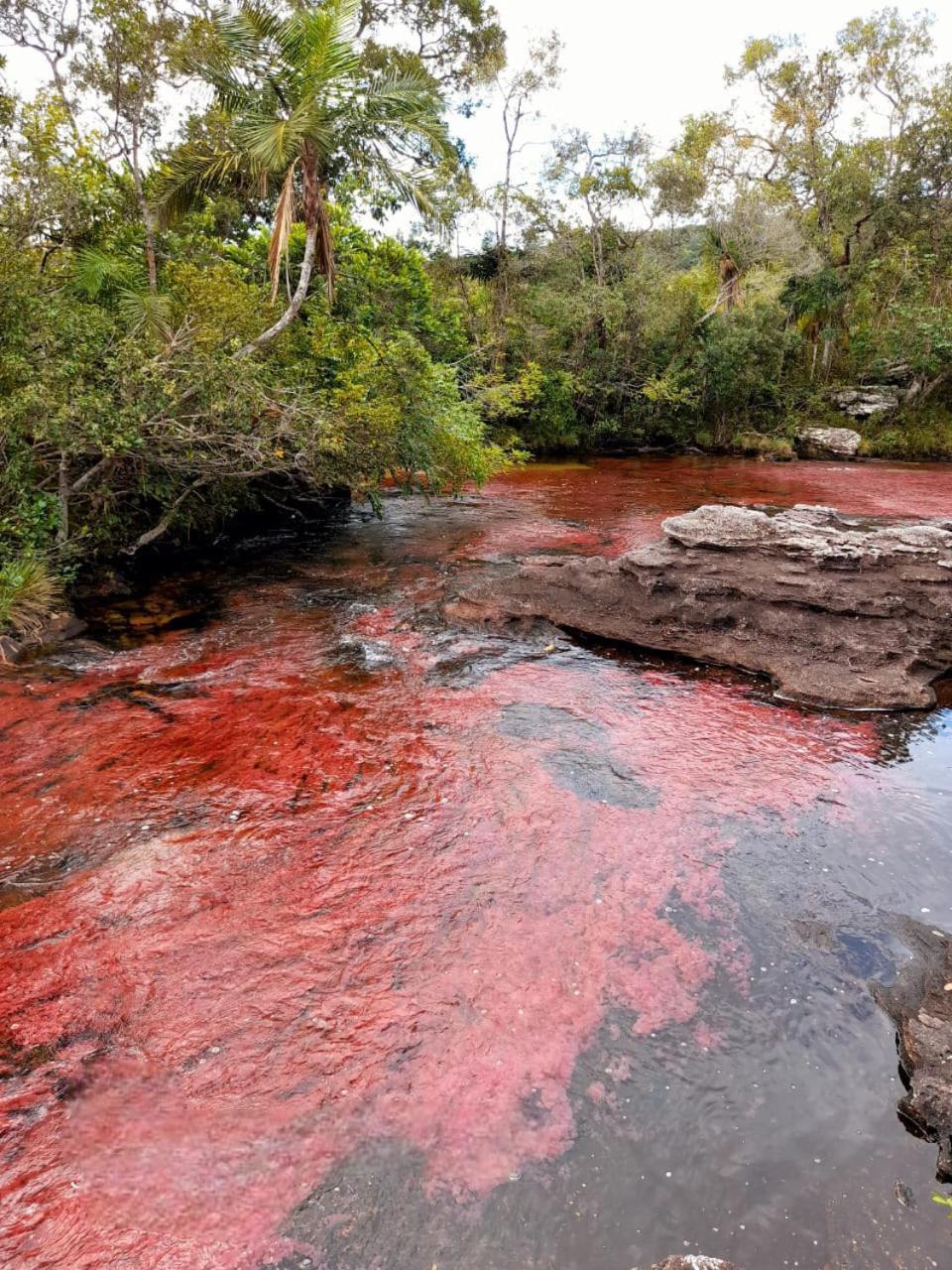 Hotel Ecologico Makalombia La Macarena Bagian luar foto