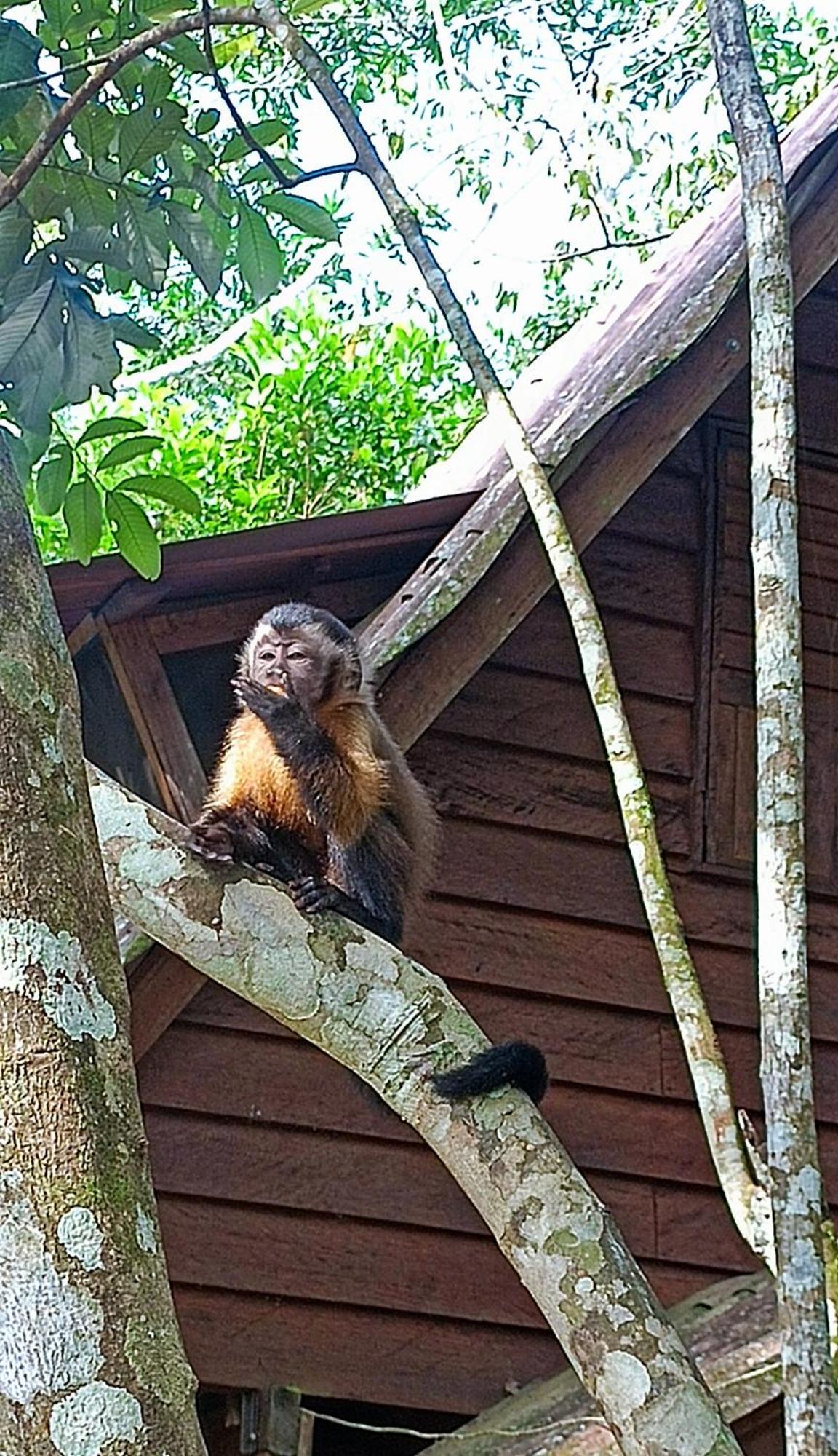 Hotel Ecologico Makalombia La Macarena Bagian luar foto