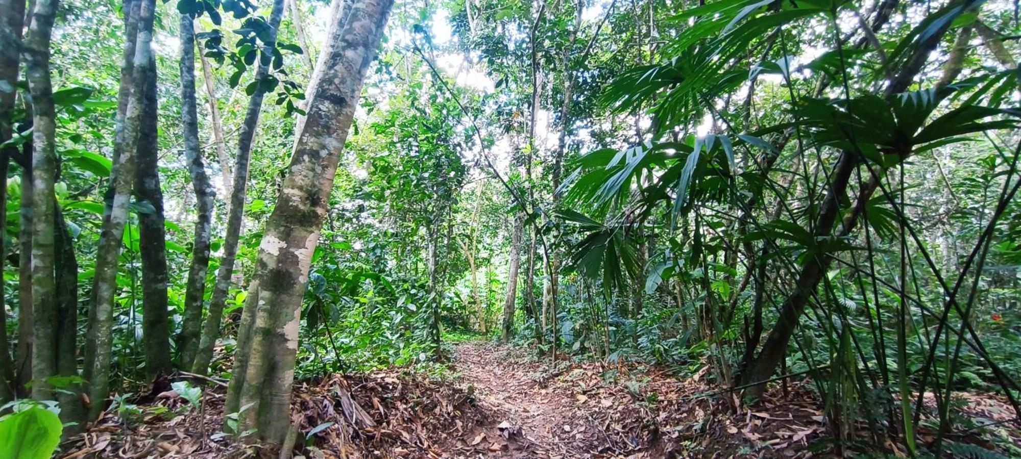 Hotel Ecologico Makalombia La Macarena Bagian luar foto