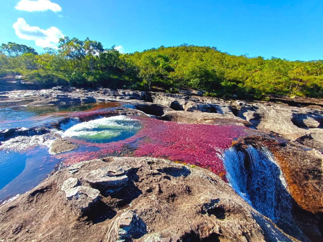 Hotel Ecologico Makalombia La Macarena Bagian luar foto