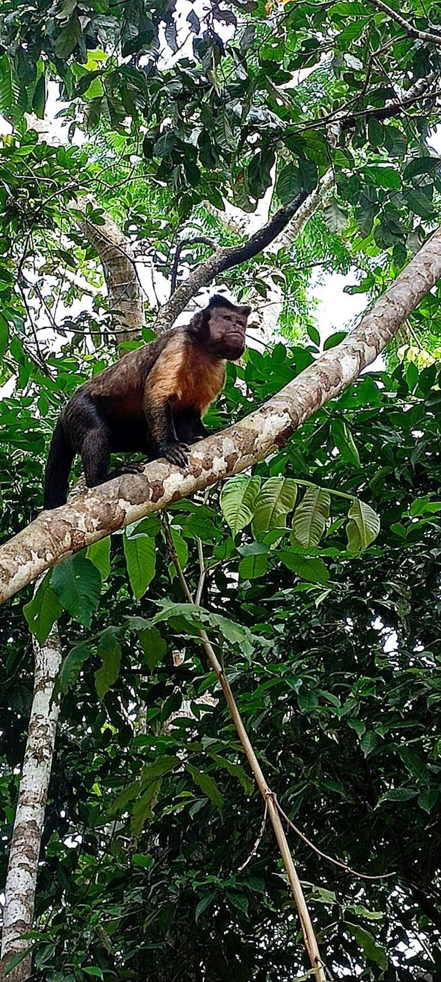 Hotel Ecologico Makalombia La Macarena Bagian luar foto