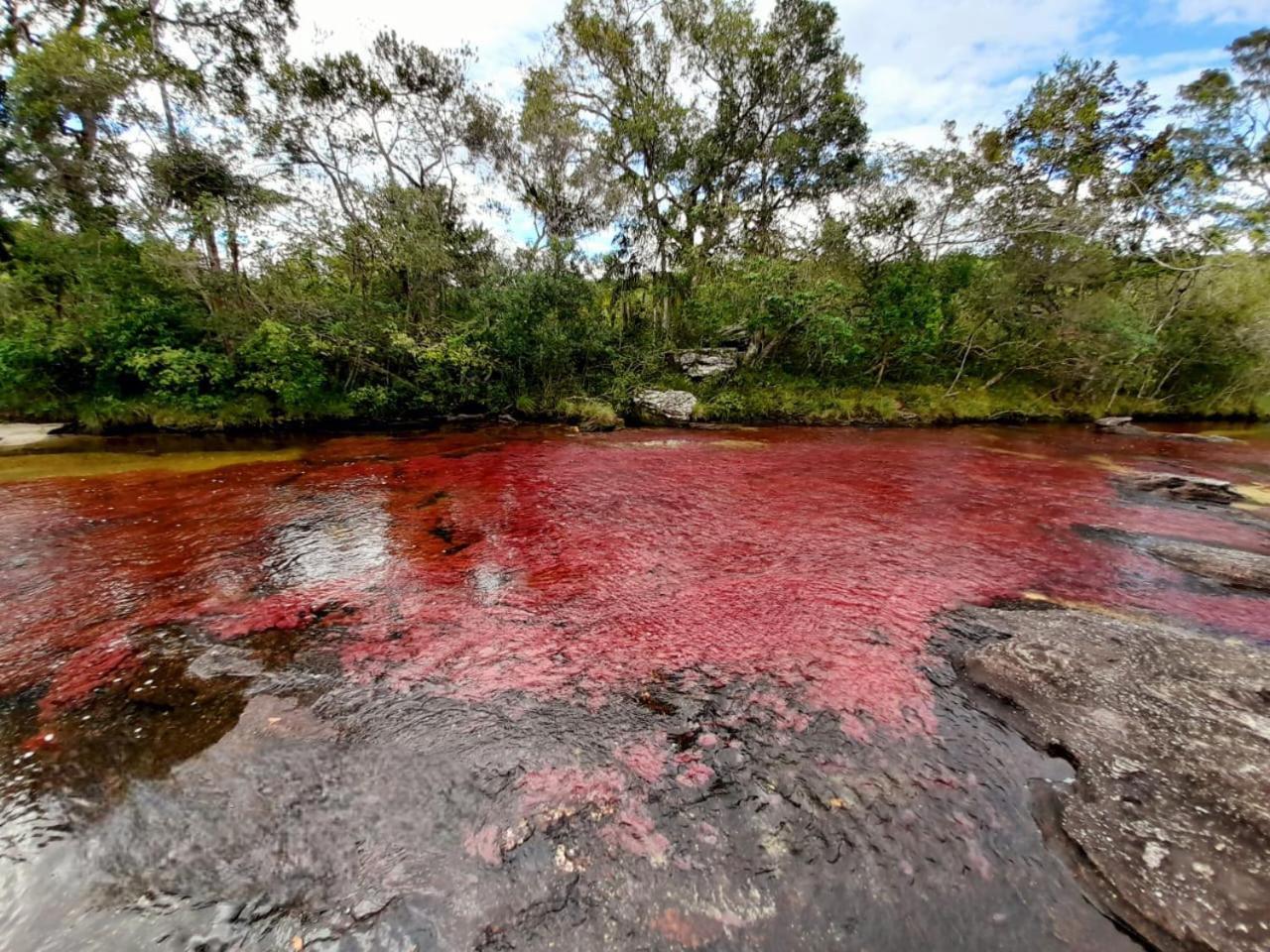 Hotel Ecologico Makalombia La Macarena Bagian luar foto