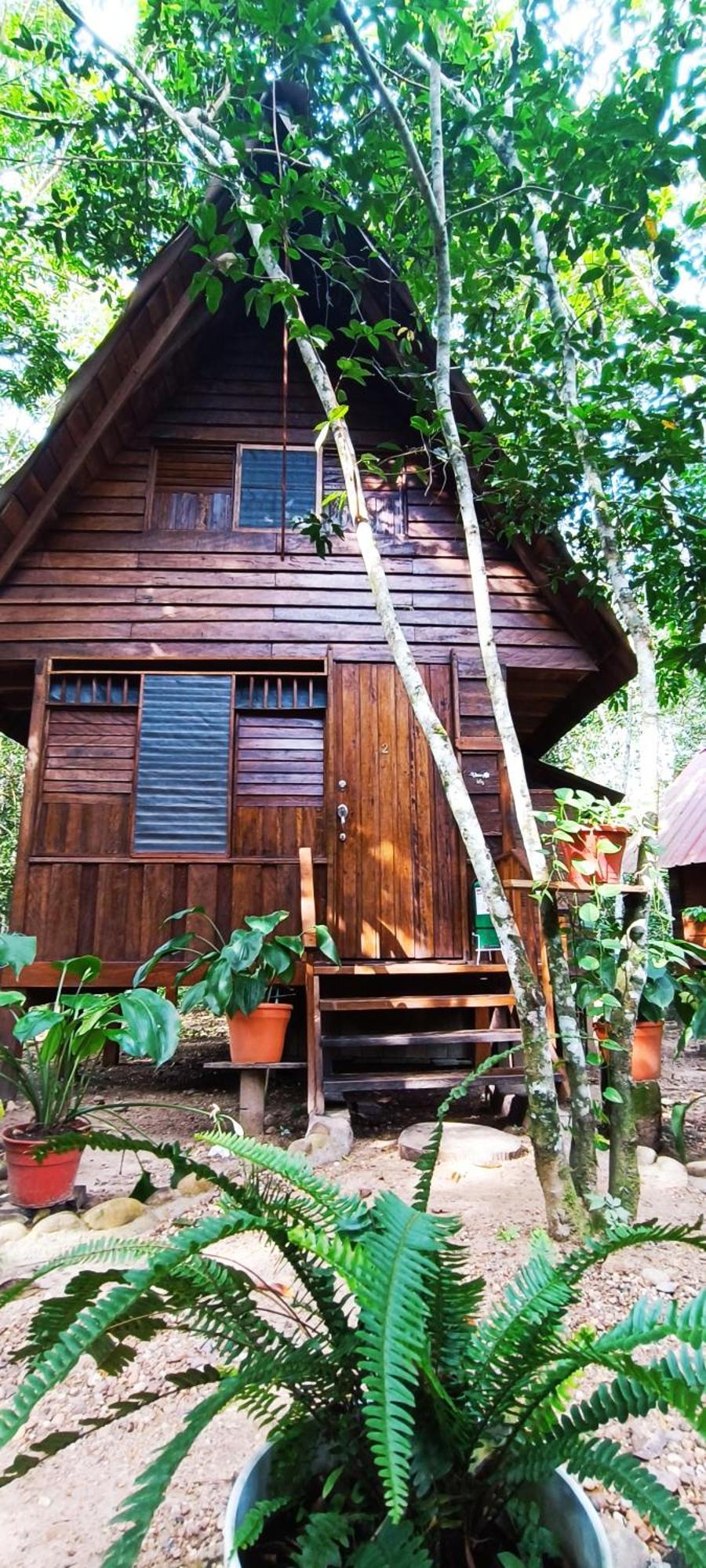 Hotel Ecologico Makalombia La Macarena Bagian luar foto