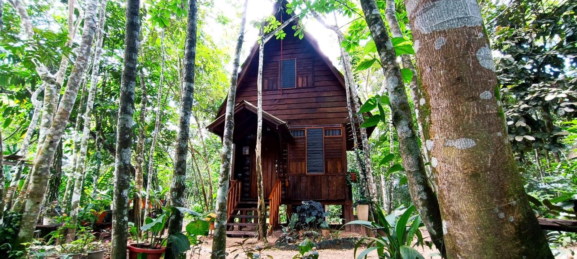 Hotel Ecologico Makalombia La Macarena Bagian luar foto